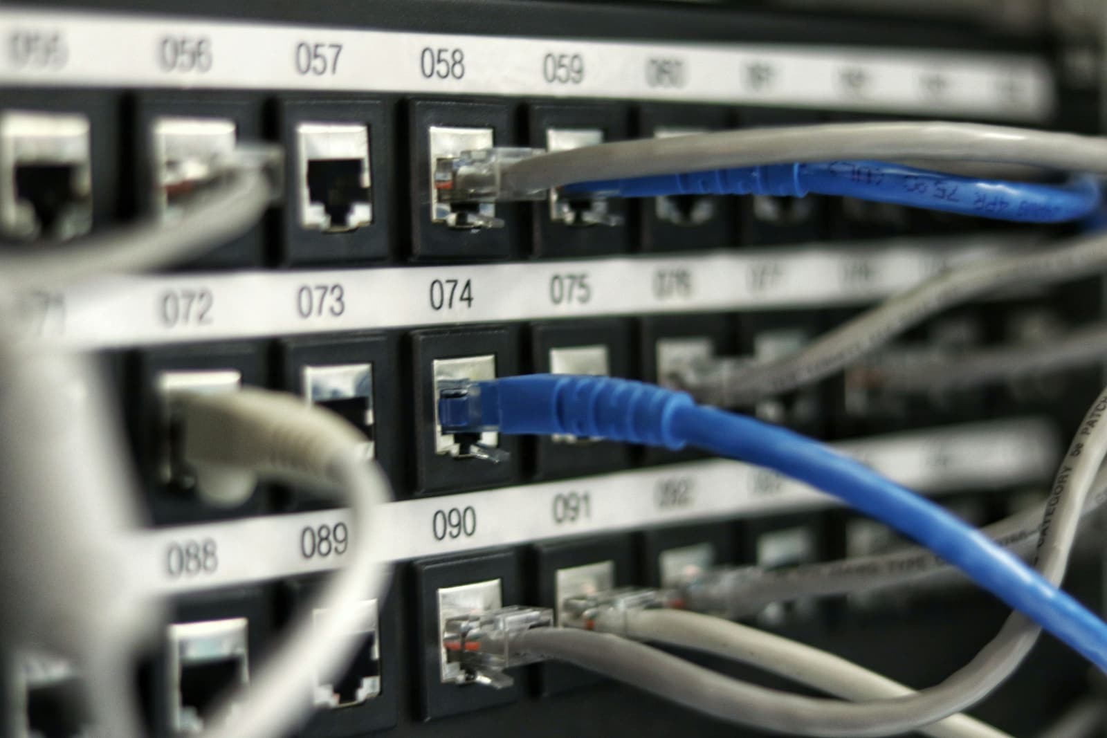 Numbered patch panel ports with a seated copper cable