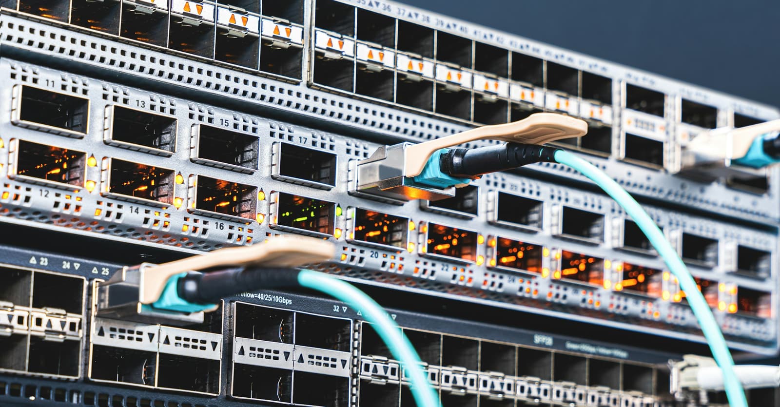Close view of switch ports with structured patch cabling
